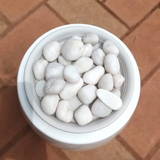 Decorative White  Big Pebbles - 1 kg